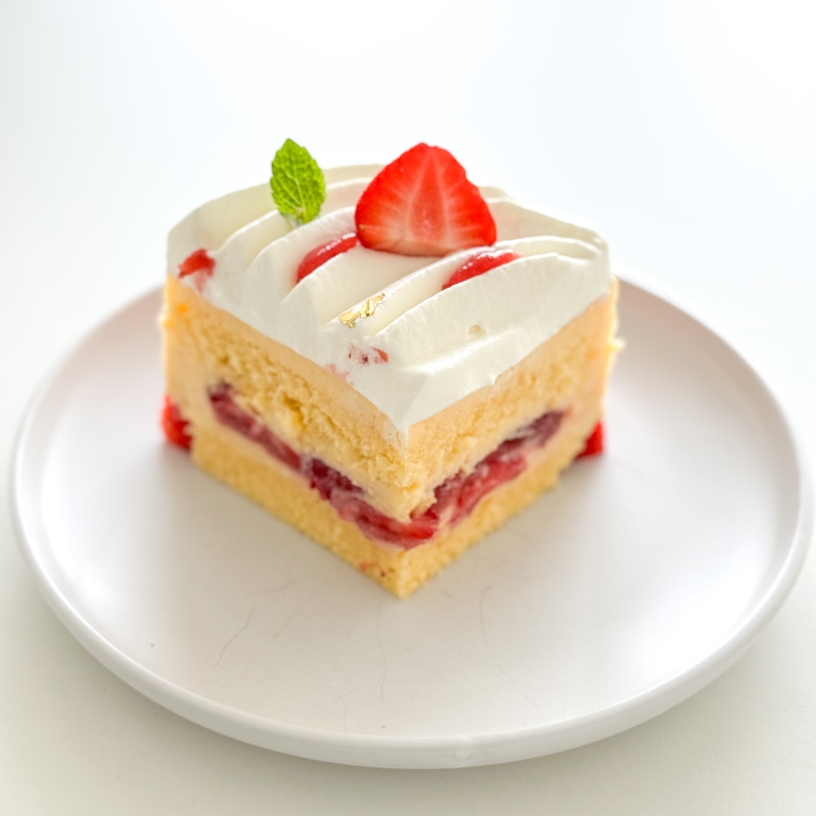 FRAISIER VANILLE